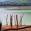 화산(화산1리) 이미지