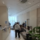 노안농장 | [가족 건강] 귀농 후 뿌연 시야, 가족의 백내장 수술(팬옵틱스) 생생 후기