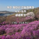 동산3구경로식당 | 부천 원미산 진달래 축제 실시간 생생후기 봄꽃 눈호강