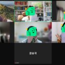 뉴독 이미지