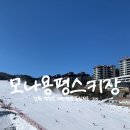뉴골드게임장 | 모나용평스키장 주간권 오후권 야간권 리프트 시즌권 / 포인트스키렌탈샵
