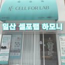 다이어트랩 | [일산] 누워서하는 다이어트 셀포랩 하모니 후기