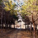 호수길 화장실 이미지