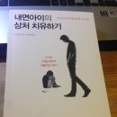 내면아이의 상처 치유하기 / 마거릿 폴 지음 / 소울메이트 이미지