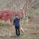 단풍농장 Daum카페