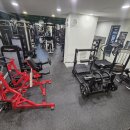 스테디 짐 이미지