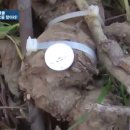 코리아헌터 이미지