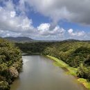 호텔아미 우산점 | [케언즈여행 5일차] 열대우림 쿠란다 마을 (아바타 모티브) 한국인 투어