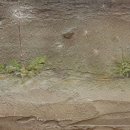 민들레산업 이미지