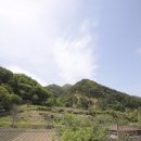 단양집민박 이미지