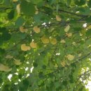 광장코아 앞 이미지