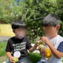 양운초등학교 앞 이미지