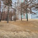 언덕공원 이미지