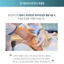 소프트아트