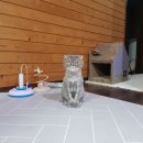 대림정형외과의원 이미지