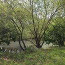 돌리네습지 초소 이미지