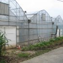 도현농장 이미지