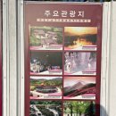 온천단지 가로수길 이미지