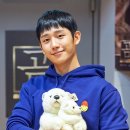 다큐세이브 이미지