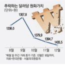 간추린 뉴스, 2024년 12월 19일 목요일 이미지