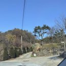 포천 금동휴양림캠프2 :) 서울에서 가까운 포천에 위치한 금동휴양림캠프2 캠핑장&프리미엄사이트후기