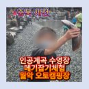 오토쉴드 - 용산구 원효로81길 8 | 월악오토캠핑장 후기｜자연계곡+인공계곡 수영장, 메기잡기까지! 아이들이 난리난 이유