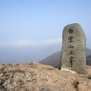 2025/03/09(일요06:00) 명산100- 광양 백운산 [전남 광양] 이미지