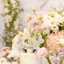 춘천세종호텔 이미지