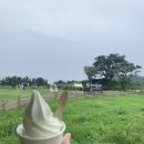 은돌목장 네이버블로그