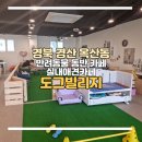 도그아이 | 경산 옥산동 반려동물동반카페 실내애견동반카페 도그빌리지