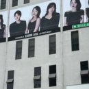 MIN SALON 민살롱 | 울산탈색 둥이네살롱 봄맞이 핑크브라운 염색