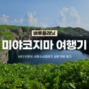 휘가로 호텔 | [일본여행] 미야코지마 여행일정 Day 1,2 : 시모지시마 공항, 파다미야코 투명카누 드론샷, 토리이케