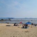 동막 뉴스피크