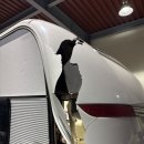 빠른정비 | 가평 카라반 수리 진행 후기｜겨울 장박 중 파손, 빠른 정비로 출고 준비 완료