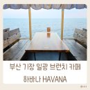 하늘 그리고 바다 | 부산 기장 애견동반 브런치카페 하바나 하늘 바다 그리고 나