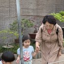 조조이 이미지