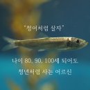 연수백세한의원 | 에스테틱숍 상생! 섀도우테라피!트러블 진단과 화장품 처방이 가능한 스킨 트라우마 전문관리 과정...
