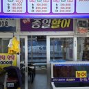 종일활어