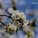 효자실버요양원 이미지