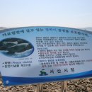 점박이 물범가족 이미지