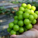 현희농장 이미지