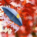 배영숙 산야초밥상 이미지