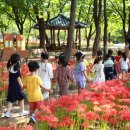 그린웨이 이미지