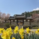 추사