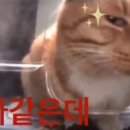 한입멍 네이버블로그