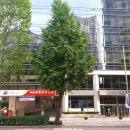 서울태평로우체국 이미지