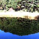 더불어숲 이미지