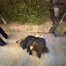 영신고등학교 내 | 술무살🤍