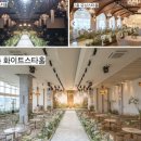 라온캣독 호텔 대구점 | 대구웨딩홀투어 1탄 : AW호텔웨딩계약 앨리스홀 + 베뉴체크리스트공유