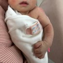 리움 산후조리원 | [05 임신기록_리베르리움 산후조리원 솔직 후기/리베르에스테틱 솔직 후기/13박14일/뉴본촬영/BCG접종]